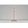 芭蕾Ballet-Table-Web-3