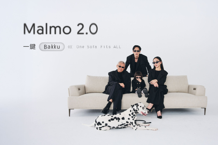 Malmo 2.0|One Sofa Fits All